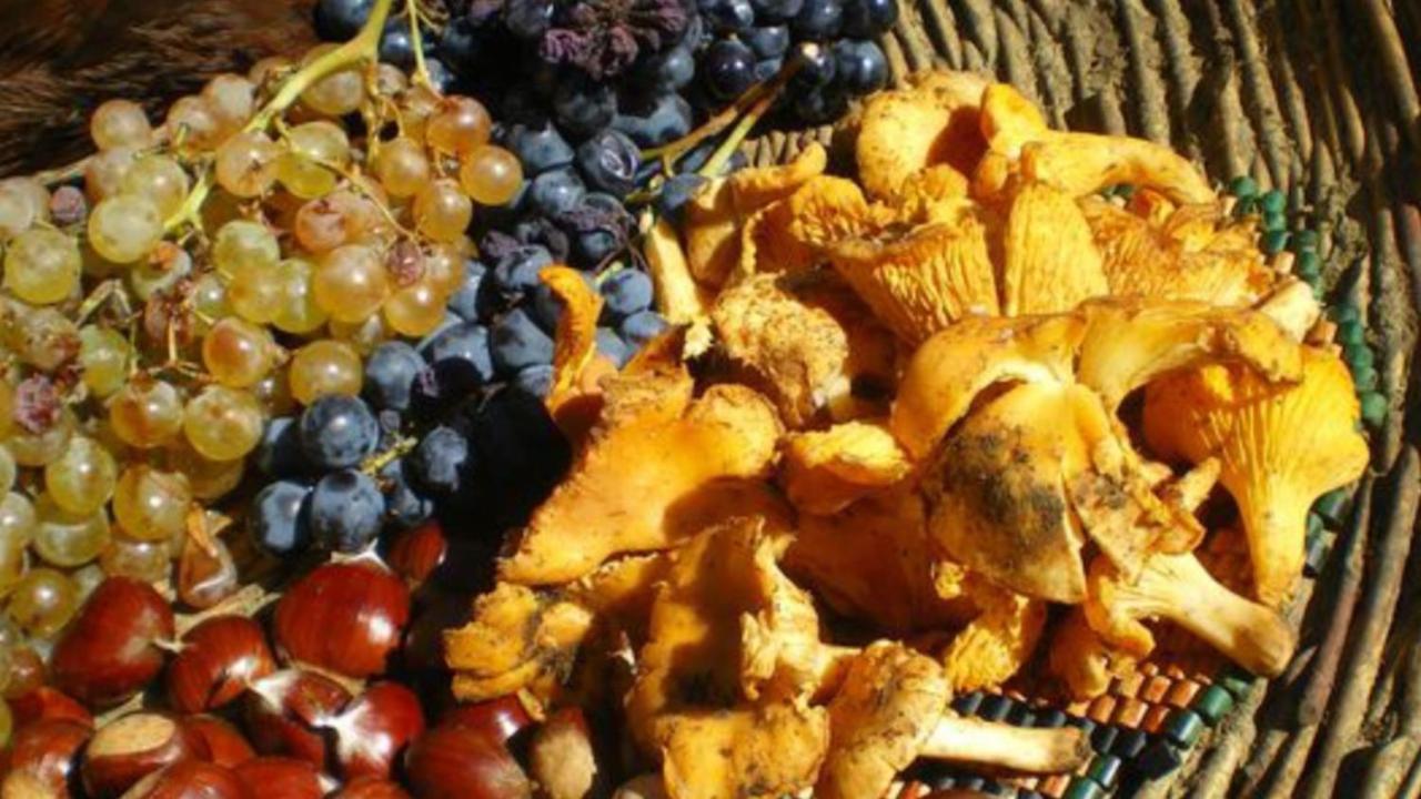 Tuttifrutti Holiday أتشيريالي المظهر الخارجي الصورة